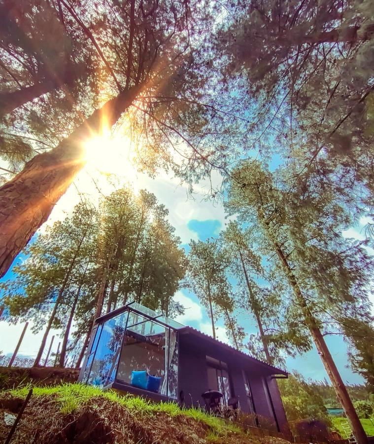 Cabanas De Lujo - Casa Barcelona Duitama Buitenkant foto